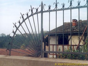 Photo Divers (34).jpg